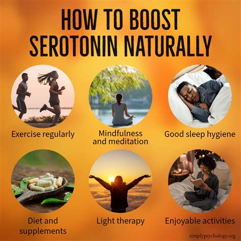 <b>Serotonin</b> Brain Food™. . Homeopathic medicine for increasing serotonin level